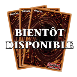 Yu-Gi-Oh! - Decks de Structure - LE DECK DES CHRONIQUES : Les Charmeuses Spirituelles - Édition All-Foil